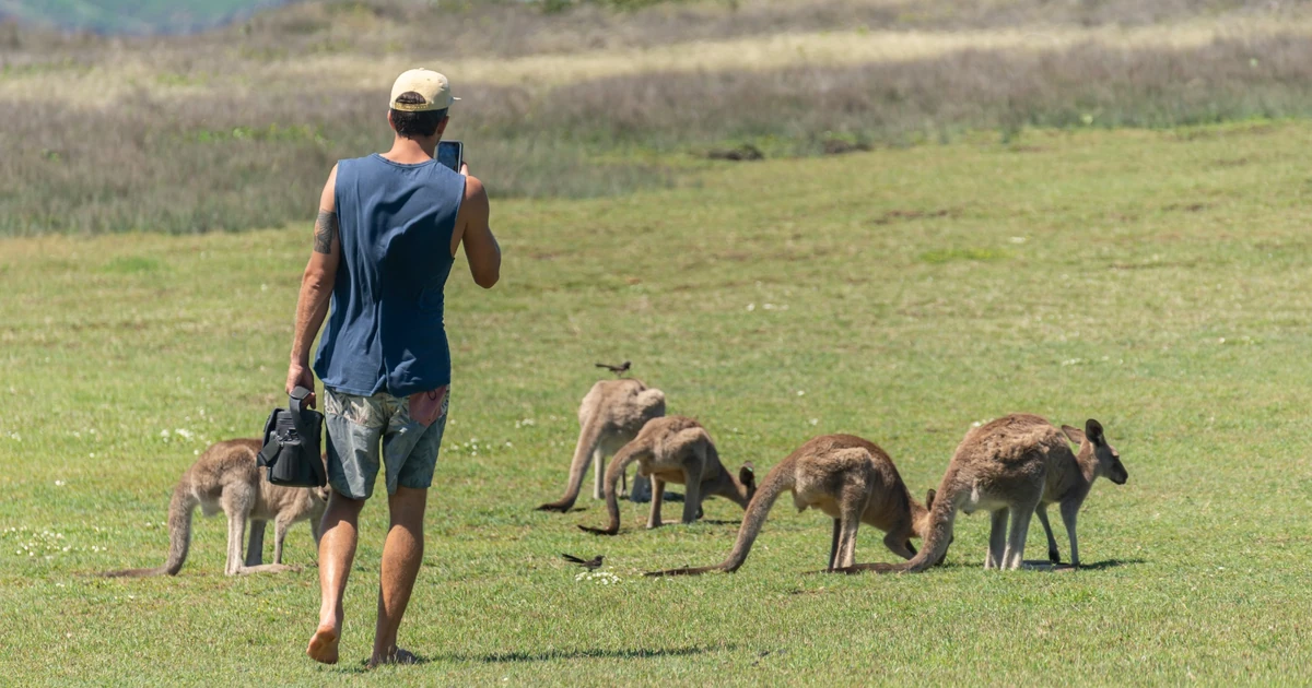 UAE resident reviewing bank statements while preparing an Australia tourist visa application